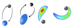 Illustration of a neutron-star — black hole binary coalescence with low mass ratio. During the inspiral, the neutron star develops tidal bulges (drawn greatly exaggerated). Eventually the black hole’s tidal force overcomes the self-gravity of the neutron star and the material is torn apart. Most of the matter then accretes onto the black hole.